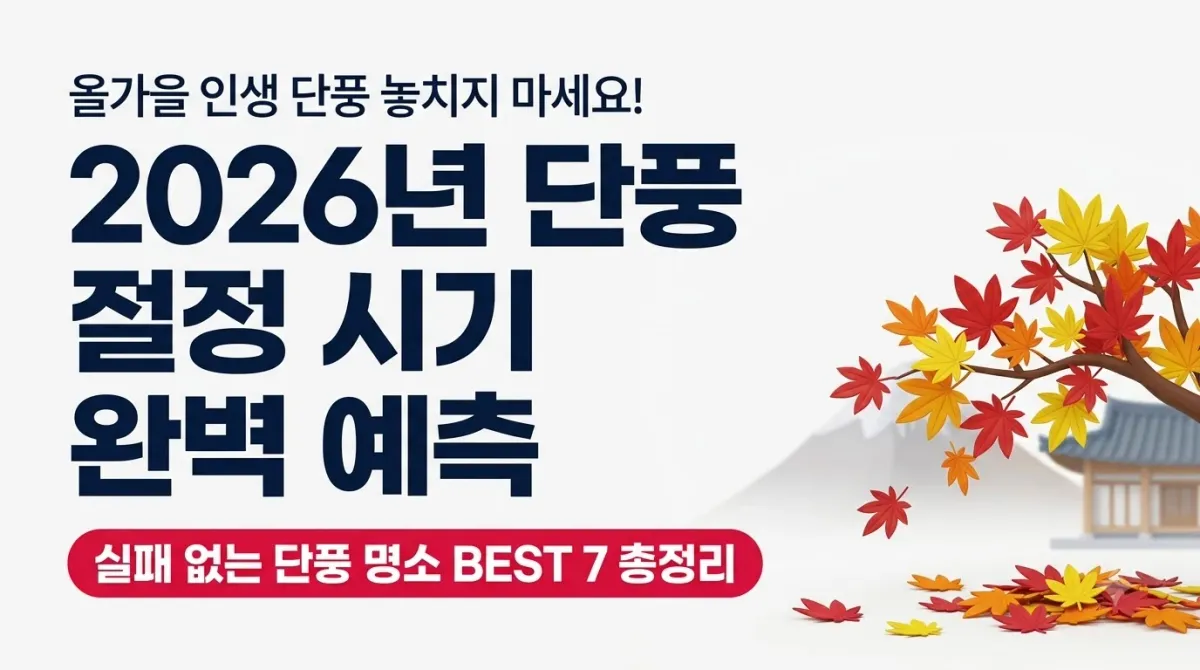 2026년 단풍 절정 시기 완벽 예측 실패 없는 단풍 명소 총정리