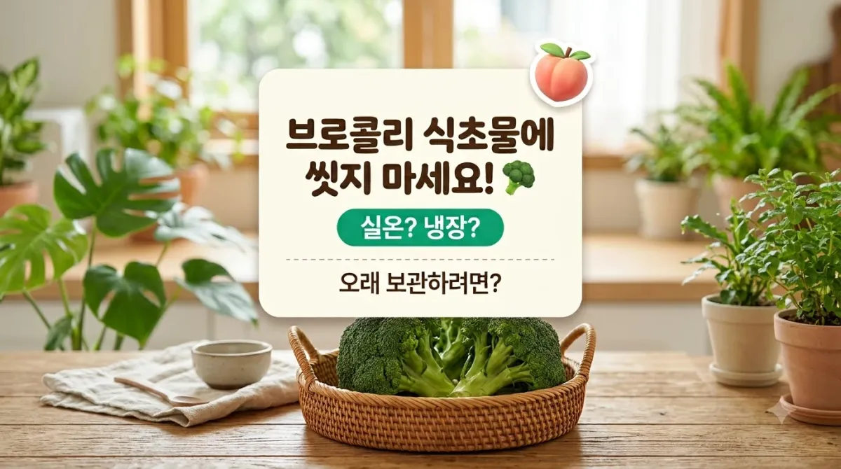 브로콜리 식초물에 씻지 마세요! 숨은 벌레까지 싹! 완벽 세척 영양 손실 없는 꿀팁