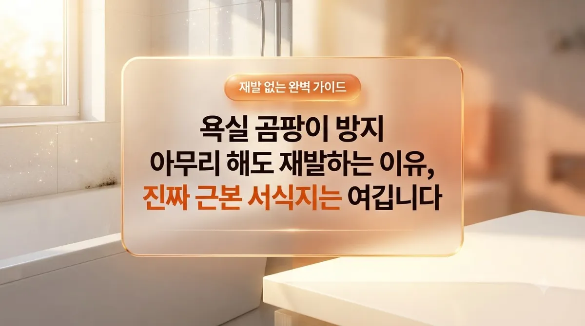 욕실 곰팡이 방지 아무리 해도 재발하는 이유, 진짜 근본 서식지는 여깁니다